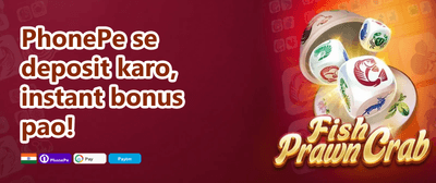 Mega Win 423 banner